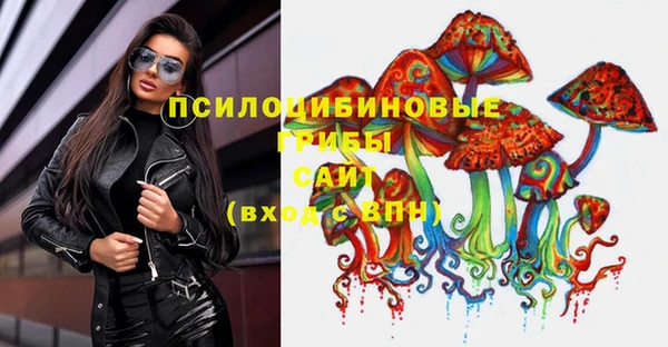 хмурый Алексеевка