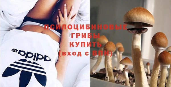 амф Алексин