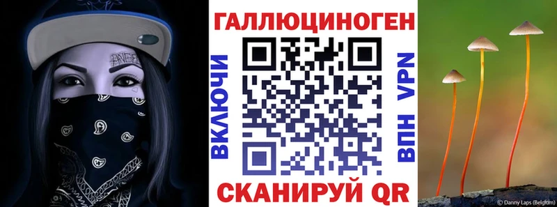 гидра зеркало  как найти   Пенза  Галлюциногенные грибы прущие грибы 